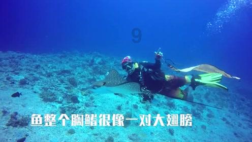 乔和莫莫